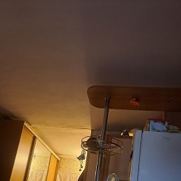 �����, ������, 44 ����