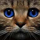 ���� ����, �����������, 29 ��� - ��������� 18 ������� 2023 � ������ ���� ����������