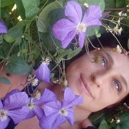 ���� ����, ������, 44 ���� - ��������� 22 ������ 2023