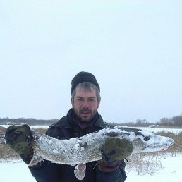 ���� ����, ������, 52 ���� - ��������� 24 �������� 2023