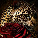 ���� Nigora, �������, 36 ��� - ��������� 6 ������� 2023 � ������ ���� ����������