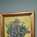 ���� �������, ������, 62 ���� - ��������� 10 ������� 2023