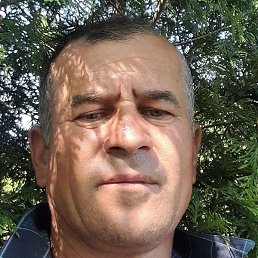 �������, ������, 47 ���