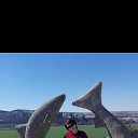 ���� ����, �����������, 49 ��� - ��������� 7 ������� 2023