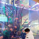 ���� �������, ��������, 68 ��� - ��������� 22 ������� 2023 � ������ ���� ����������