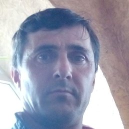 ����, ��������, 48 ���