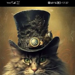 ���� �������, ������������, 55 ��� - ��������� 28 �������� 2023