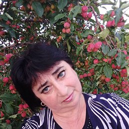 ������, ������, 53 ����