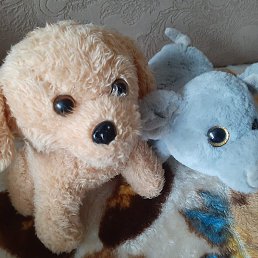 ������, �����������, 49 ���