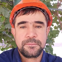 �����, �����, 52 ����