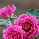  Aydin, , 59  -  26  2023