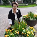 ���� ����, ������, 67 ��� - ��������� 4 ���� 2023 � ������ ���� ����������