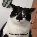 ���� ��������, �����������, 36 ��� - ��������� 5 �������� 2023 � ������ ���� ����������