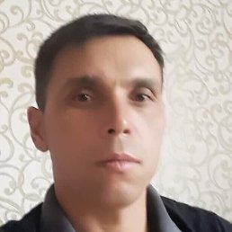 �������, �������, 37 ���