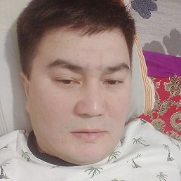 ������, ��������, 41 ���