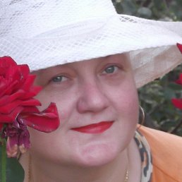 �����, ��������, 54 ����