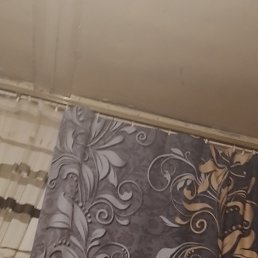 ���� ����, ������, 41 ��� - ��������� 8 ��� 2023