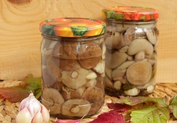 МАРИНОВАННЫЕ МАСЛЯТА .Непередаваемый запах и вкус даров леса! Ингредиенты: маслята - 2000 ...