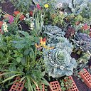 ���� Ludmyla, �������������, 63 ���� - ��������� 30 ���� 2023