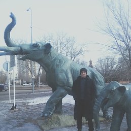 �����, ��������, 41 ���