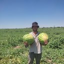 ���� ���, ������, 42 ���� - ��������� 10 ���� 2023