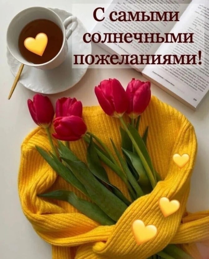   ,    . - 7  2023  22:28