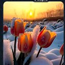 ���� ������, �����-���������, 41 ��� - ��������� 10 ����� 2023