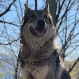 ��������, ������, 31 ���