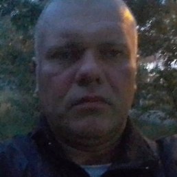 �����, �������������, 46 ���