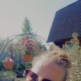 �����, ����, 43 ����