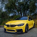 ���� ������, ����������, 37 ��� - ��������� 2 �������� 2023 � ������ ���� ����������