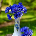  Tatiana,  -  21  2023    