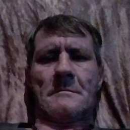 �������� ��������� ��������, ���������, 48 ���