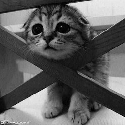 ���� ������, �����������, 25 ��� - ��������� 22 ������� 2023