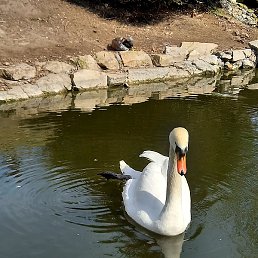 ������, ������, 47 ���