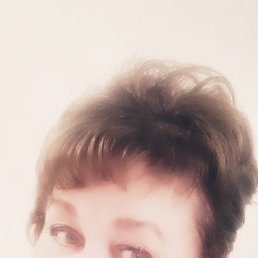 �����, ������, 65 ���