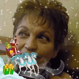 ���� �������, ������������, 76 ��� - ��������� 23 ���� 2023