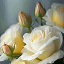  A, , 57  -  18  2023    