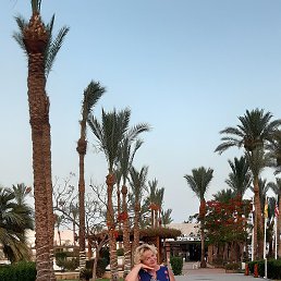 �����, ������, 54 ����