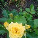 ���� �����, ������� - ��������� 5 ������� 2023 � ������ ���� ����������