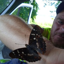 �������, �����-���������, 60 ���