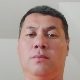 �����, ������, 48 ���