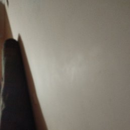 Elad, ����, 29 ���