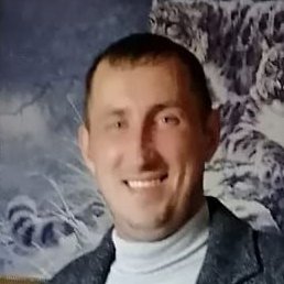 �����, ��������, 37 ���