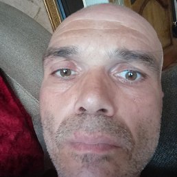 �������, ����������, 47 ���