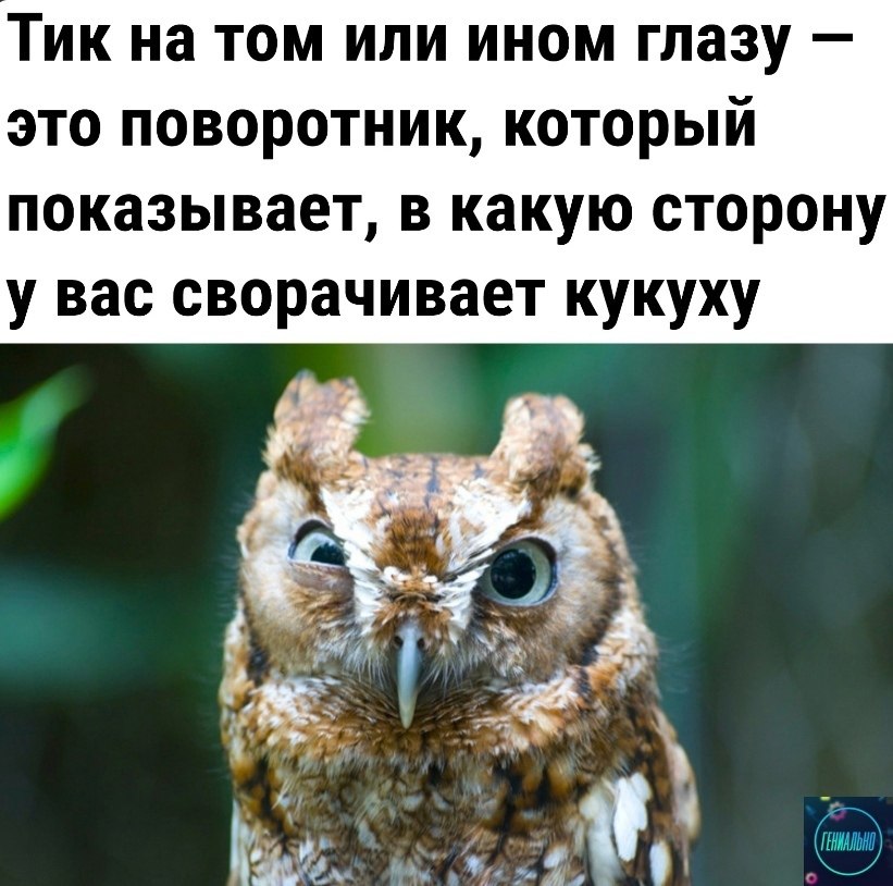 o oo https://fotostrana.ru/away?to=/sl/F1D2