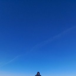 ������, ������, 45 ���