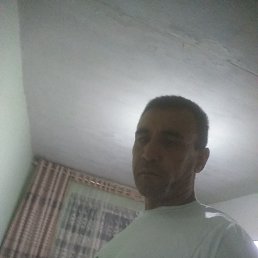 ���� �������, �����, 48 ��� - ��������� 27 ������� 2023