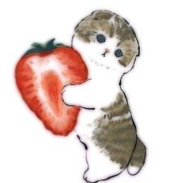 ���, �������, 20 ���