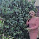 ���� �����, ������ ���, 59 ��� - ��������� 26 ����� 2023 � ������ ������ ��������